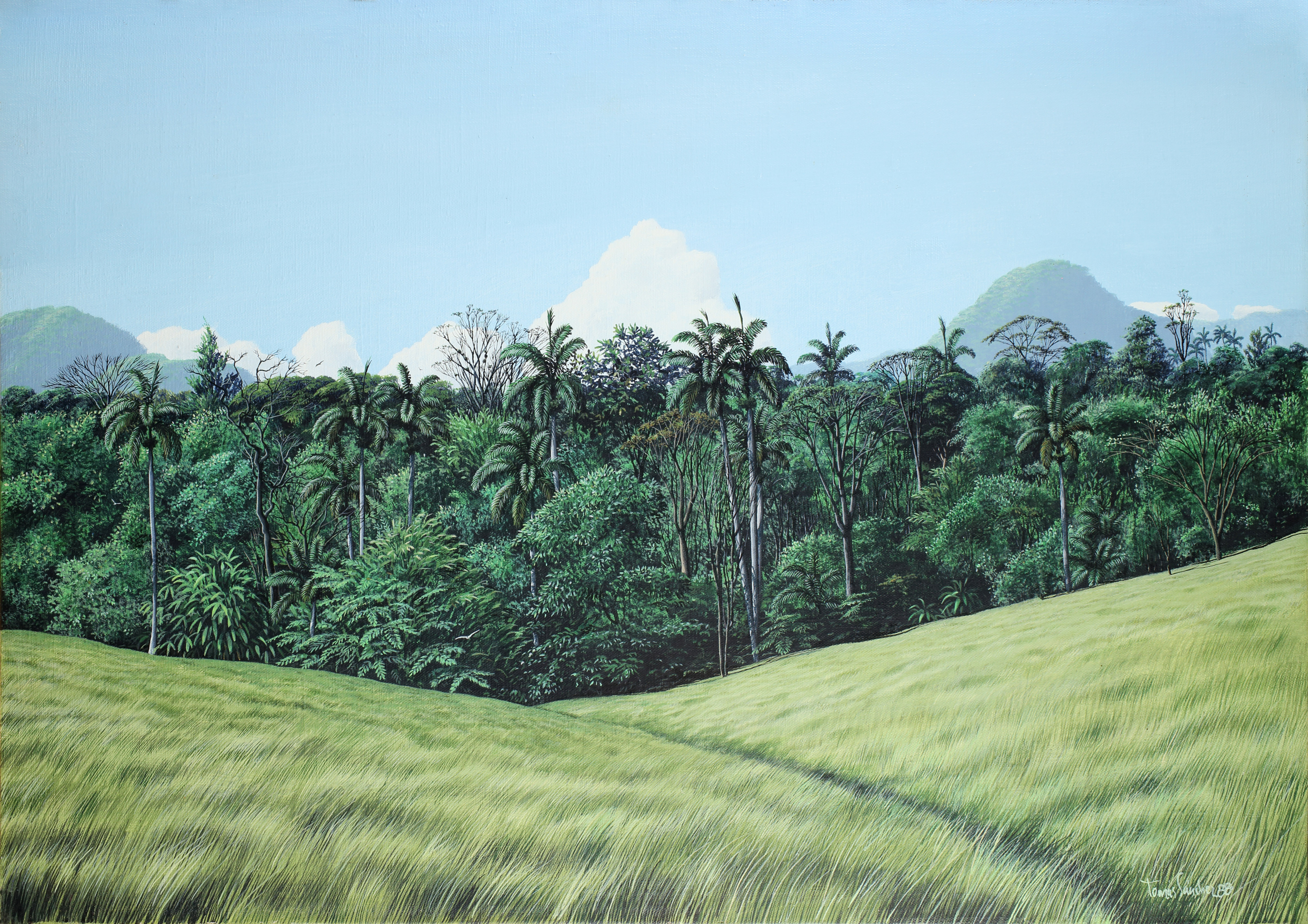 Latin Art Core